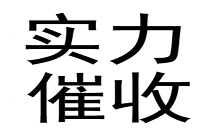 800元债务纠纷可否提起诉讼？